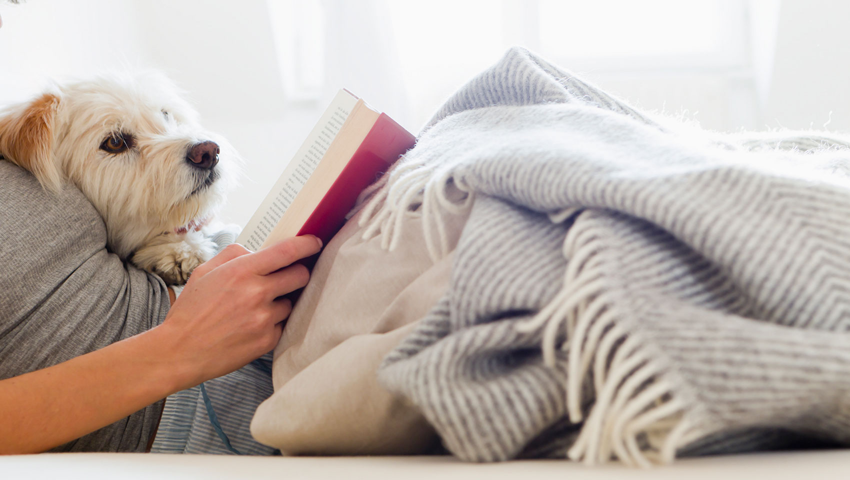 Book Pet-friendly Hotels
